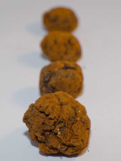 Doggy Treats: Trufas Doggy