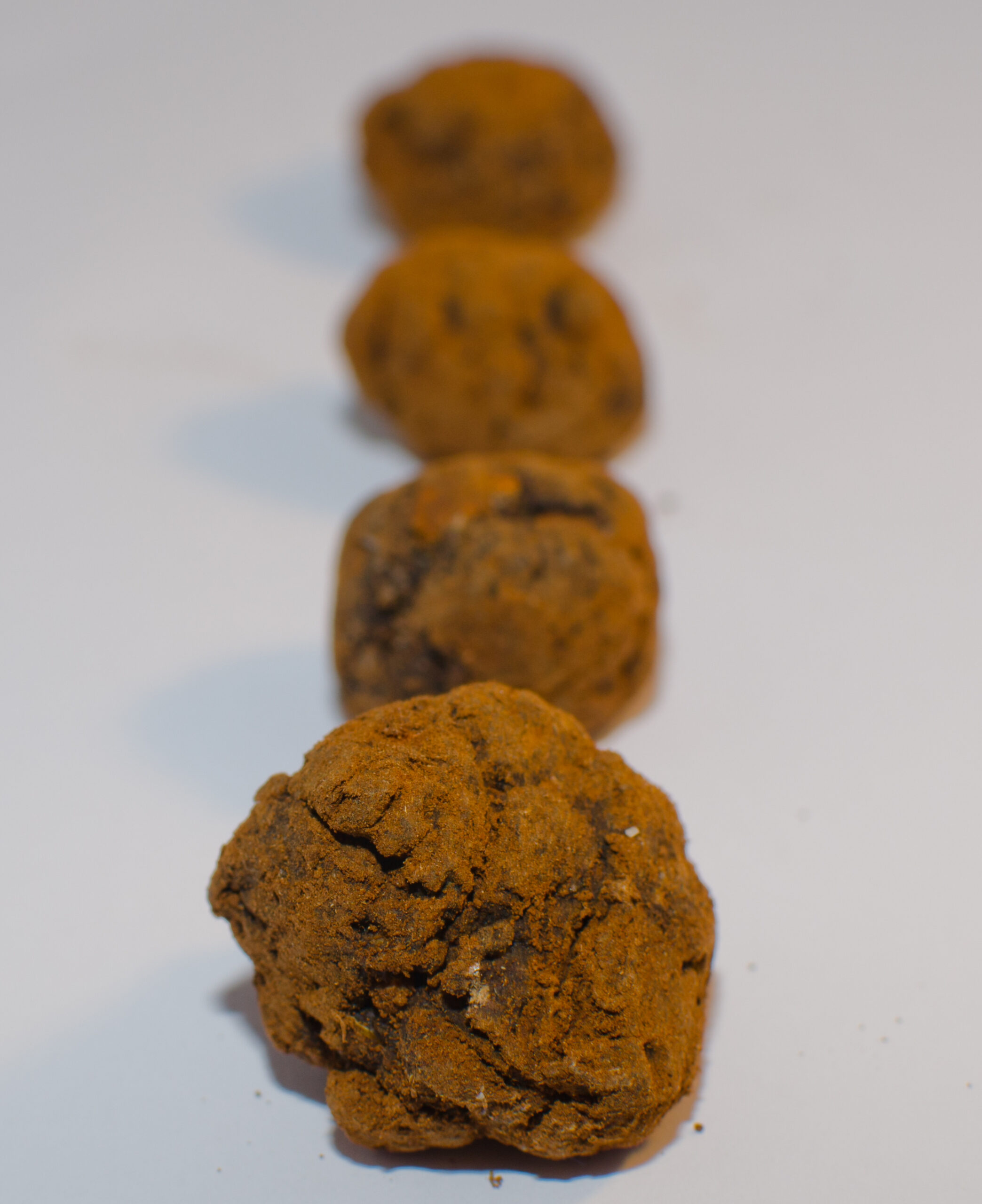 Doggy Treats: Trufas Doggy