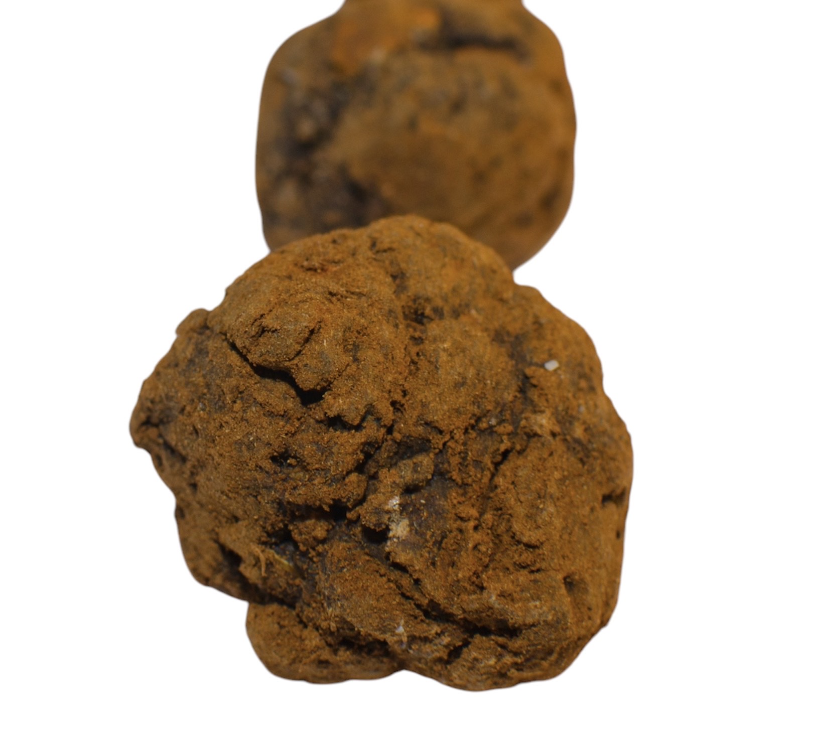 Doggy Treats: Trufas Doggy - Imagen 4