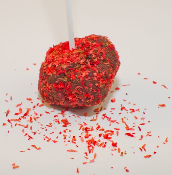 Doggy Treats: Doggy Pop - Imagen 4