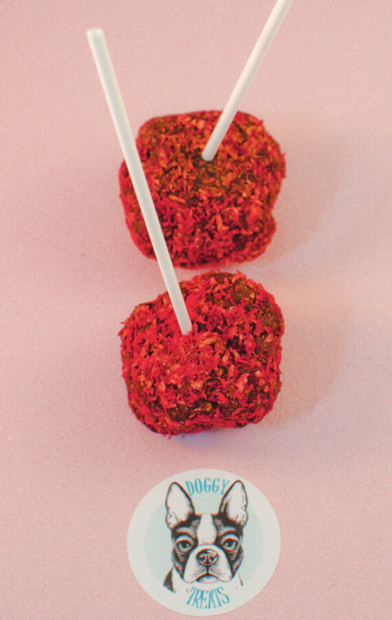 Doggy Treats: Doggy Pop