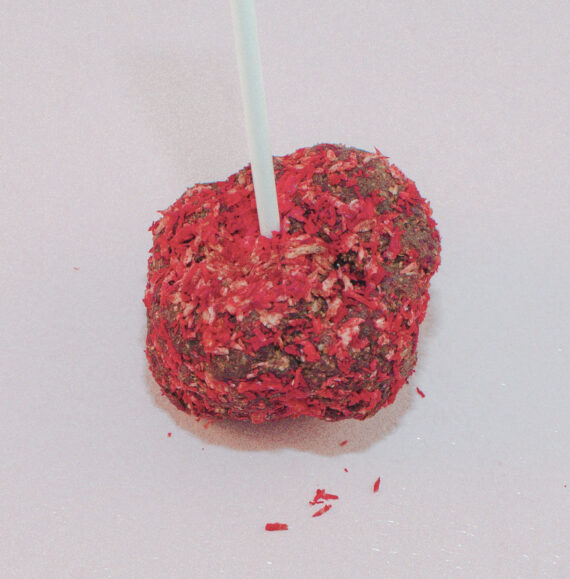 Doggy Treats: Doggy Pop - Imagen 3