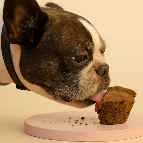 Doggy Treats: Doggy Mini Tarta Kentucky - Imagen 5